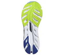 Adistar BYD
