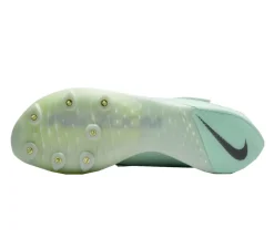 Air Zoom LJ Elite