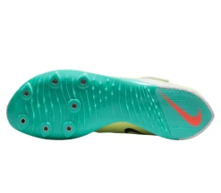 Air Zoom LJ Elite