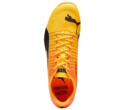 EvoSPEED Sprint Nitro 2