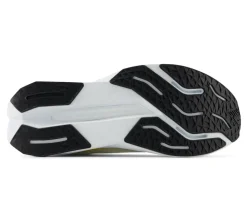 FuelCell Propel V5